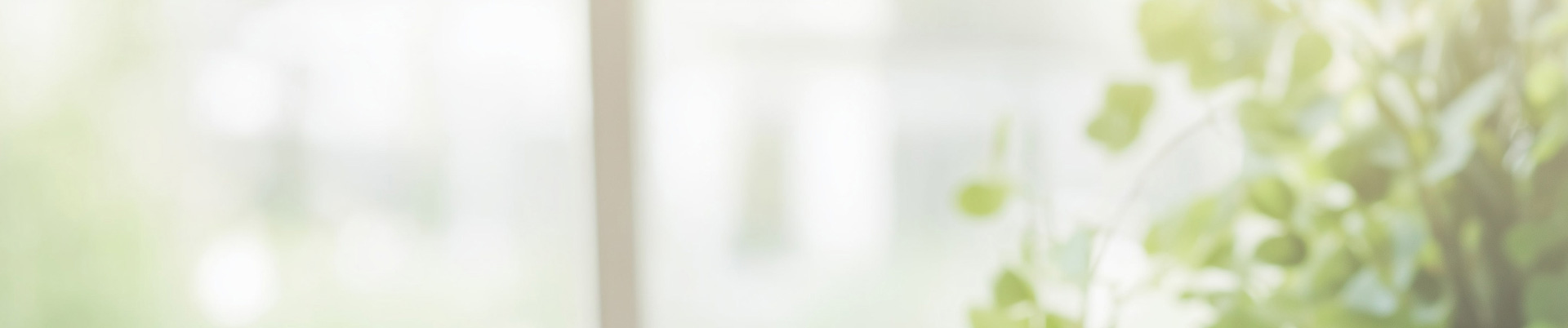 下層メインビジュアル画像（PC）